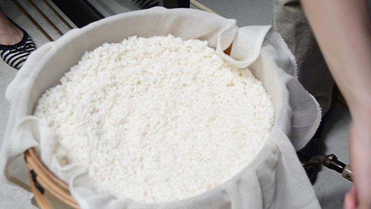 麹づくりワークショップ